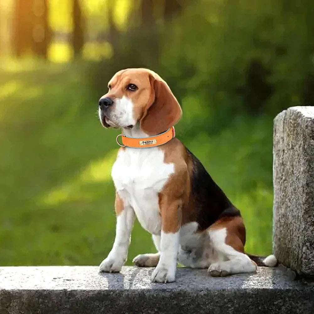 PawID™ - Personalized PU Leather Dog Collar with Soft Padding & Custom Pet ID