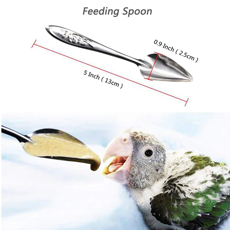10ml 20ml 50ml Parrot Feeding Syringe Hose Parrots Bird Feeders Syringe High Quality Bird Feeder Balcony Syringe Hose Needle