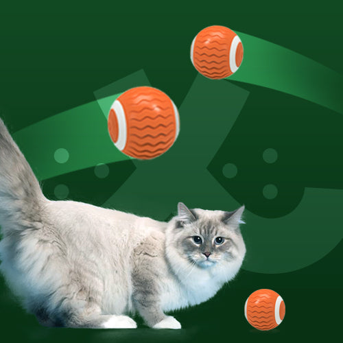 Automatic & Interactive Magic Ball – USB Toy for Cats and Dogs