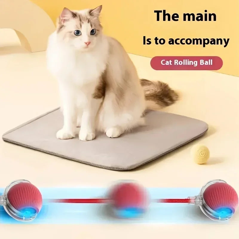 PlayPaws™ – Automatic Interactive Cat Ball with Faux Tail