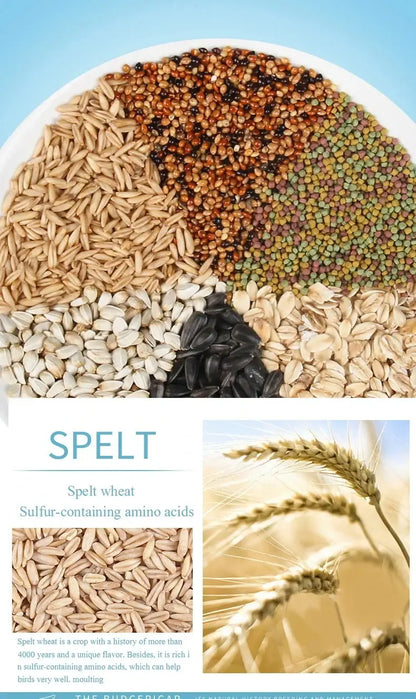 Bird food parrot feed oil sunflower bird feed parrot food bird food bird food feed