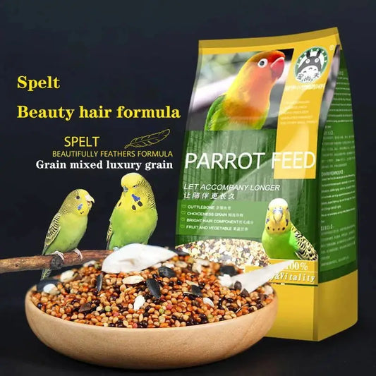Bird food parrot feed oil sunflower bird feed parrot food bird food bird food feed