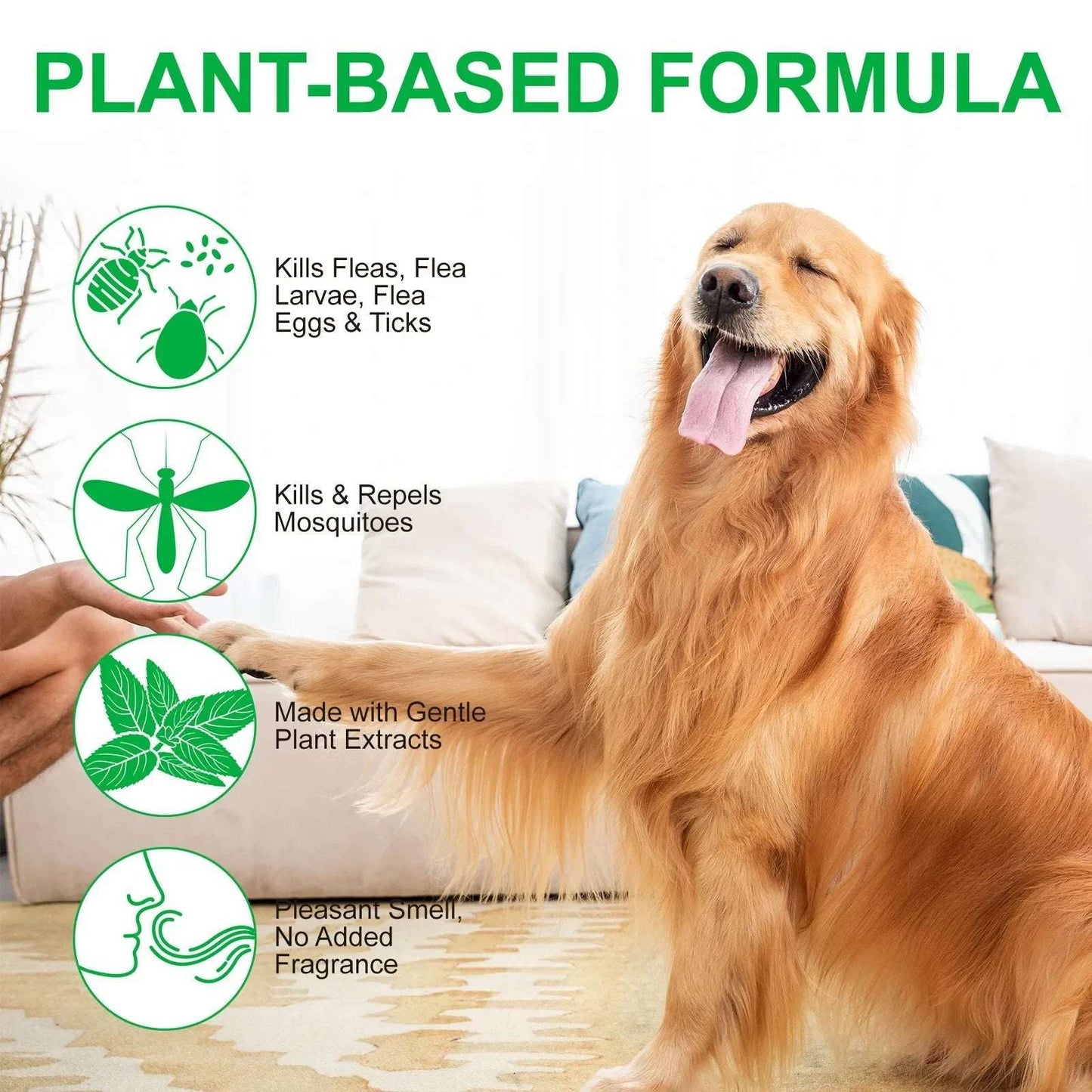 FleaFree™ Natural Flea & Tick Spray — Peppermint & Eugenol Formula