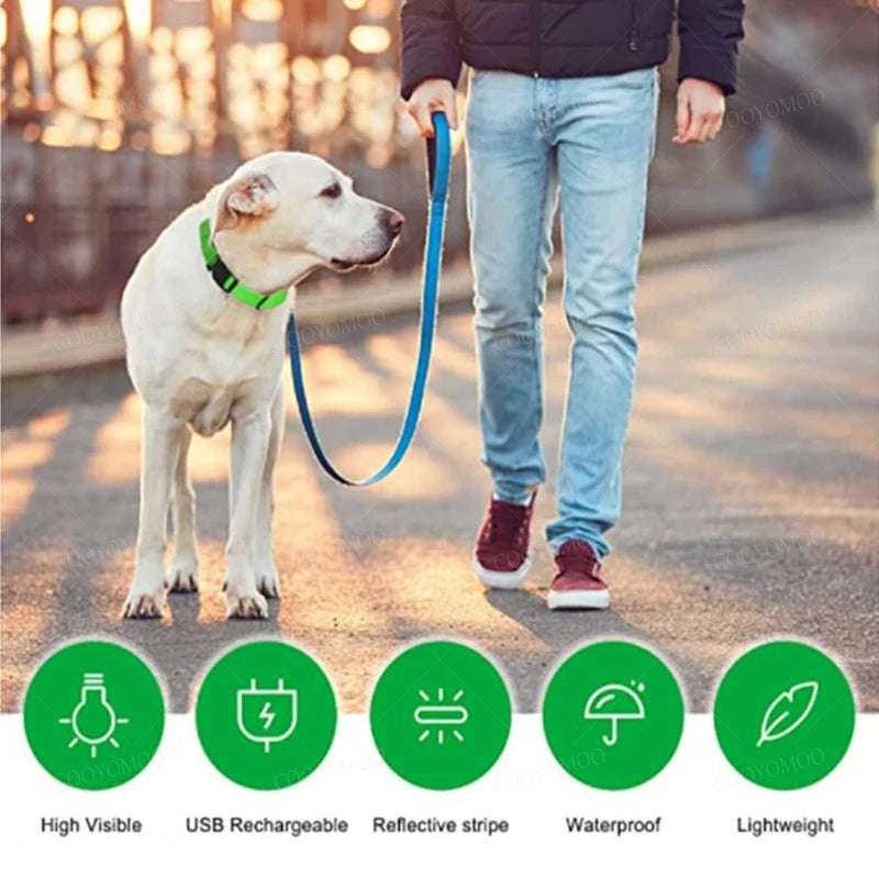 GlowGuard™ 3-Mode USB Rechargeable Luminous Dog & Cat Collar