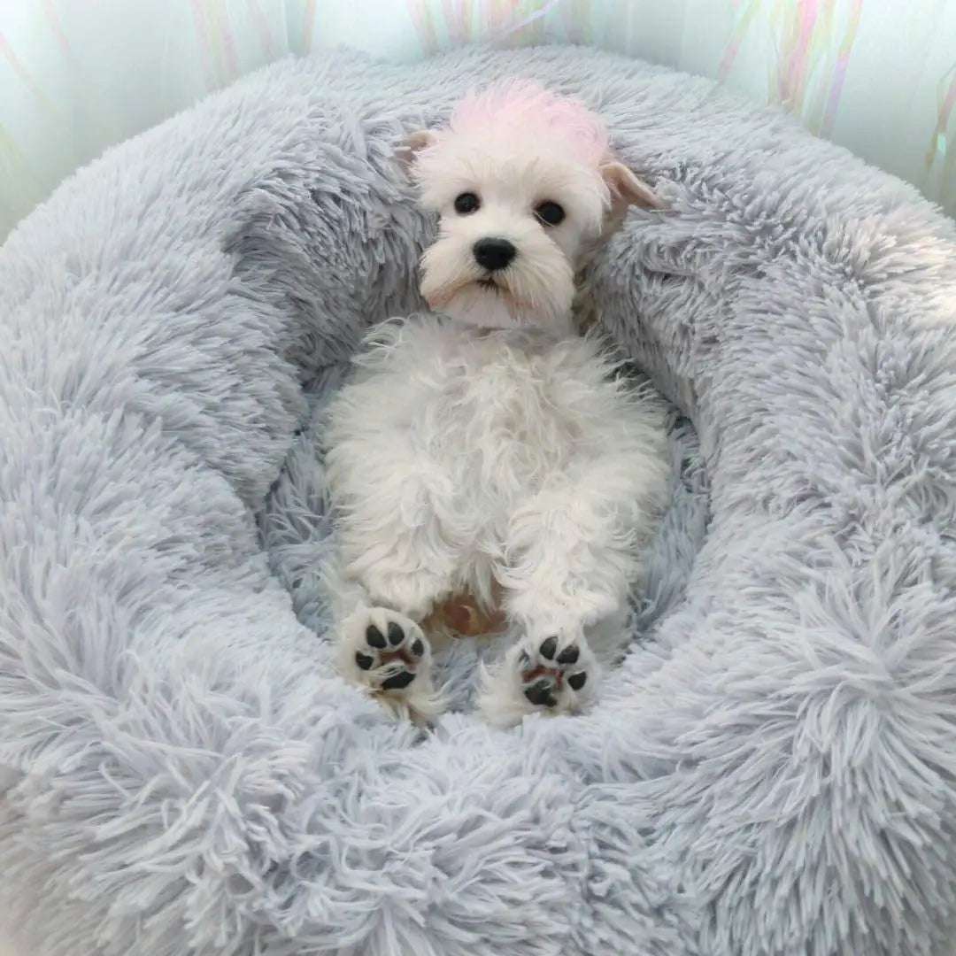 Cat Nest Round Soft Shaggy Mat for Kittens Chihuahua Indoor Dog Cat Bed Pet Supplies Removable Machine Washable Pillow Bed