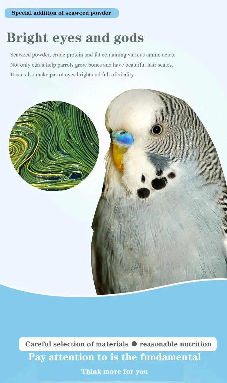 Bird food parrot feed oil sunflower bird feed parrot food bird food bird food feed