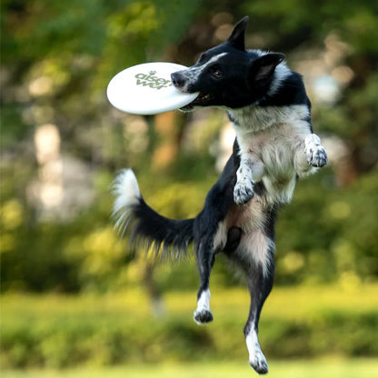 OUZEY Professional Game Flying Disc Toys For Dogs Bite Resistant Puppy Pet Training & Behavior Aids Outdoor Interactive Dog Toys
