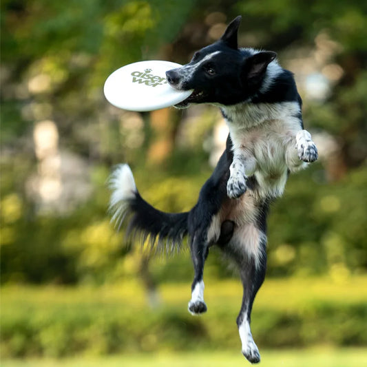 OUZEY Professional Game Flying Disc Toys For Dogs Bite Resistant Puppy Pet Training & Behavior Aids Outdoor Interactive Dog Toys