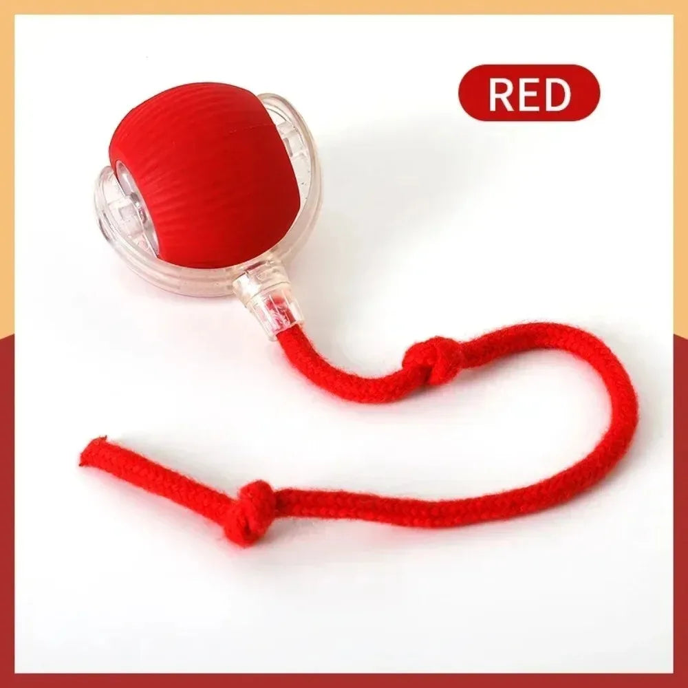 PurrPlay™ Interactive Rolling Ball Toy with Faux Tail — Rechargeable & Smart