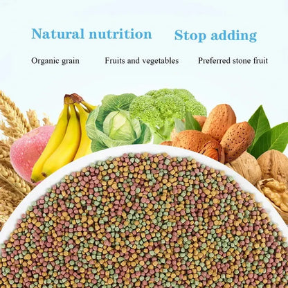 Bird food parrot feed oil sunflower bird feed parrot food bird food bird food feed