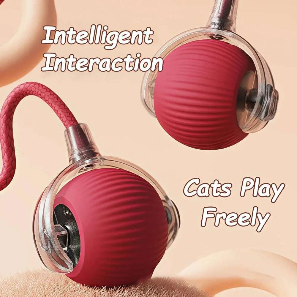 PurrPlay™ Interactive Rolling Ball Toy with Faux Tail — Rechargeable & Smart
