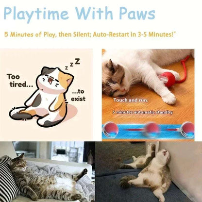 PlayPaws™ – Automatic Interactive Cat Ball with Faux Tail