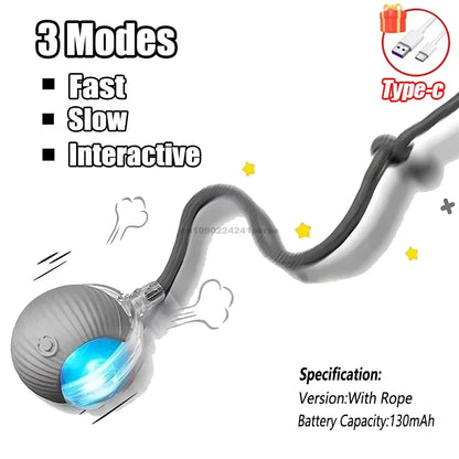 PlayPaws™ – Automatic Interactive Cat Ball with Faux Tail