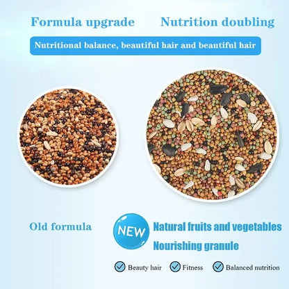 Bird food parrot feed oil sunflower bird feed parrot food bird food bird food feed