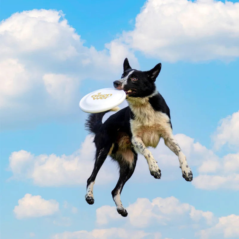 OUZEY Professional Game Flying Disc Toys For Dogs Bite Resistant Puppy Pet Training & Behavior Aids Outdoor Interactive Dog Toys