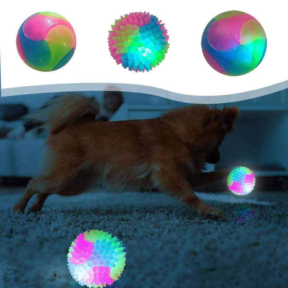 GlowPet™ - Luminous Training Ball for Dogs & Cats