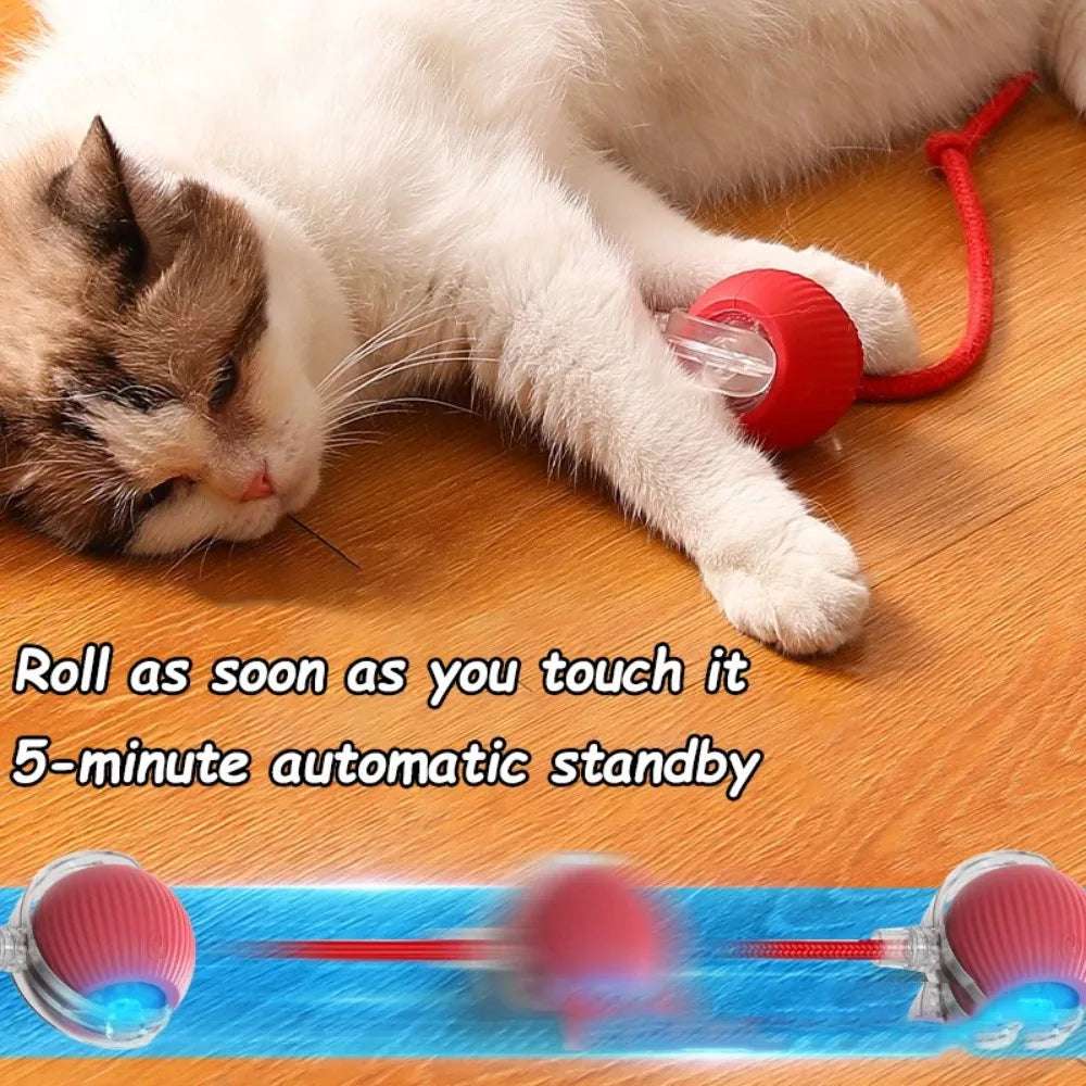 PurrPlay™ Interactive Rolling Ball Toy with Faux Tail — Rechargeable & Smart