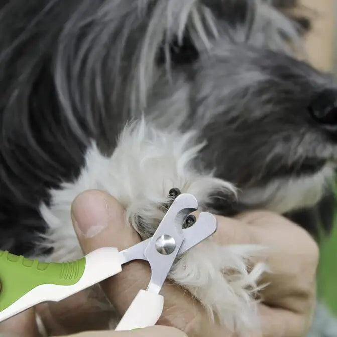 professionals pet dog cat nail clippers trimmer Puppy Claws Cutter Pet Nails Scissors Trimmer Grooming and Care Cat Accessories