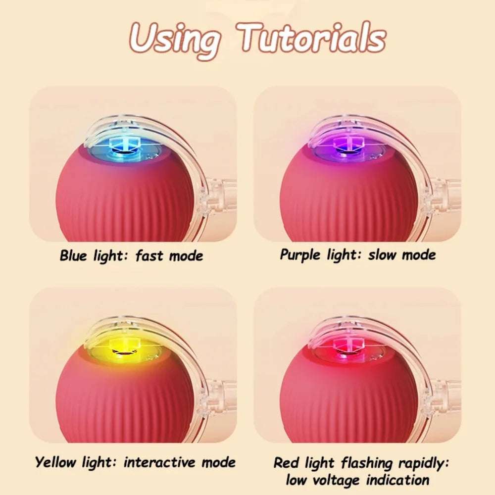 PurrPlay™ Interactive Rolling Ball Toy with Faux Tail — Rechargeable & Smart