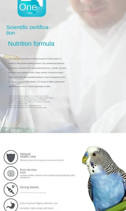 Bird food parrot feed oil sunflower bird feed parrot food bird food bird food feed