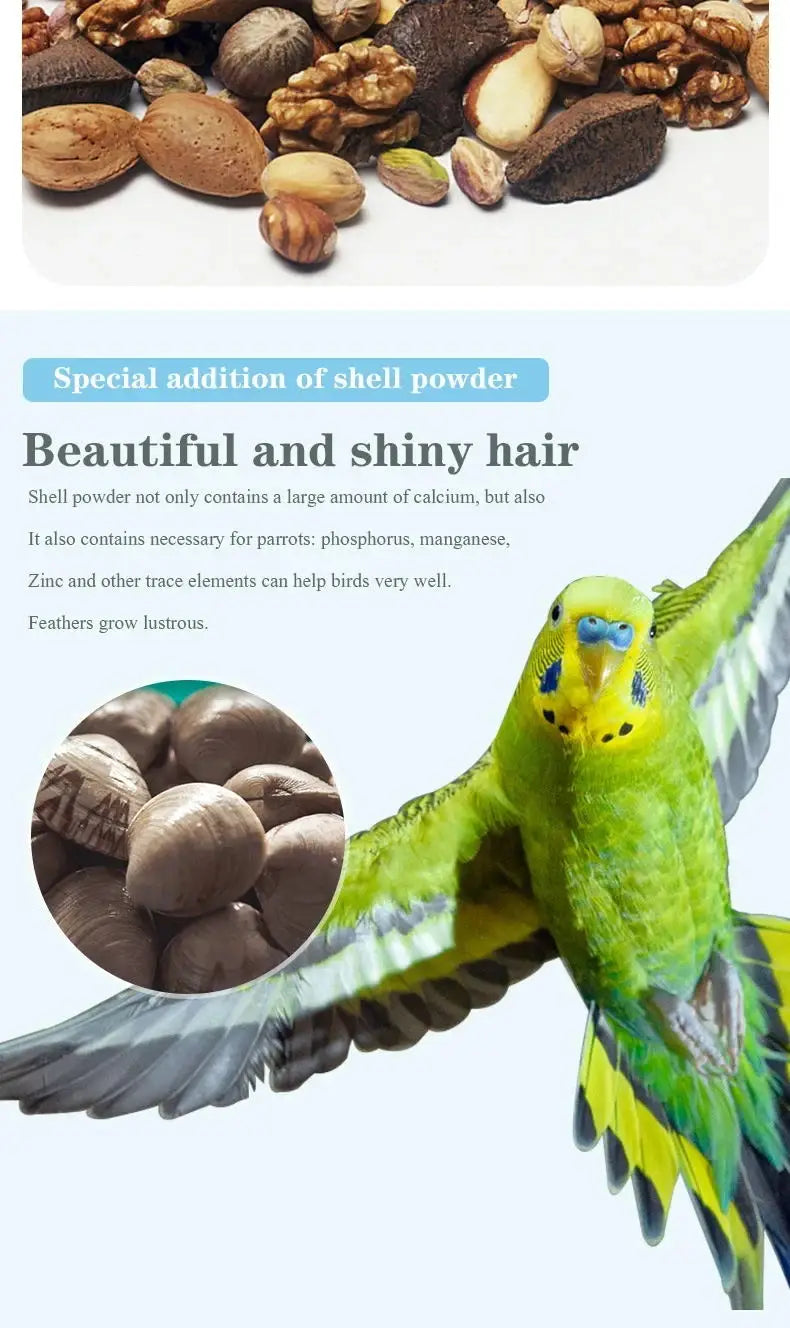 Bird food parrot feed oil sunflower bird feed parrot food bird food bird food feed