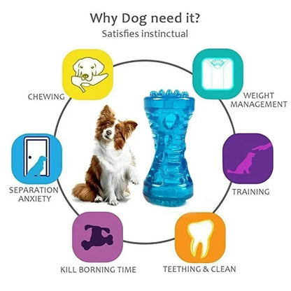 ChewBone™ – Durable Toothbrush Toy for Dogs