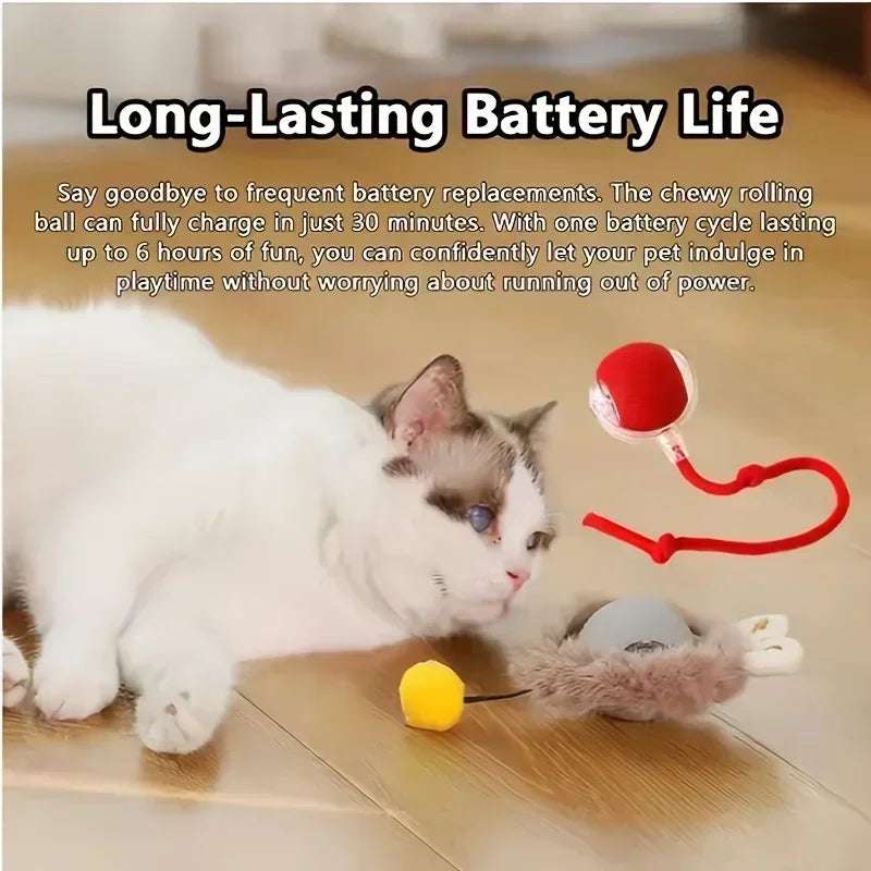 PlayPaws™ – Automatic Interactive Cat Ball with Faux Tail