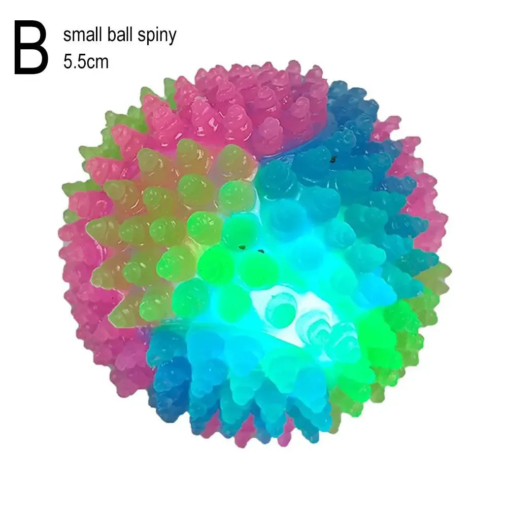 GlowPet™ - Luminous Training Ball for Dogs & Cats