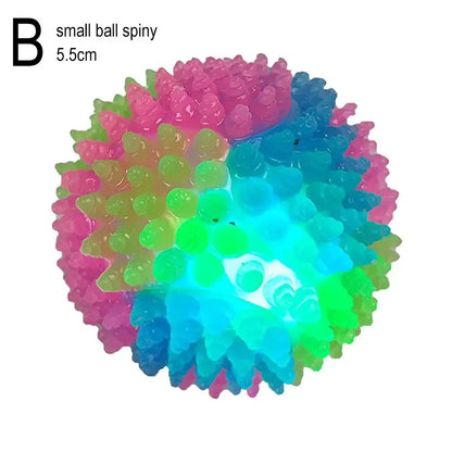 GlowPet™ - Luminous Training Ball for Dogs & Cats