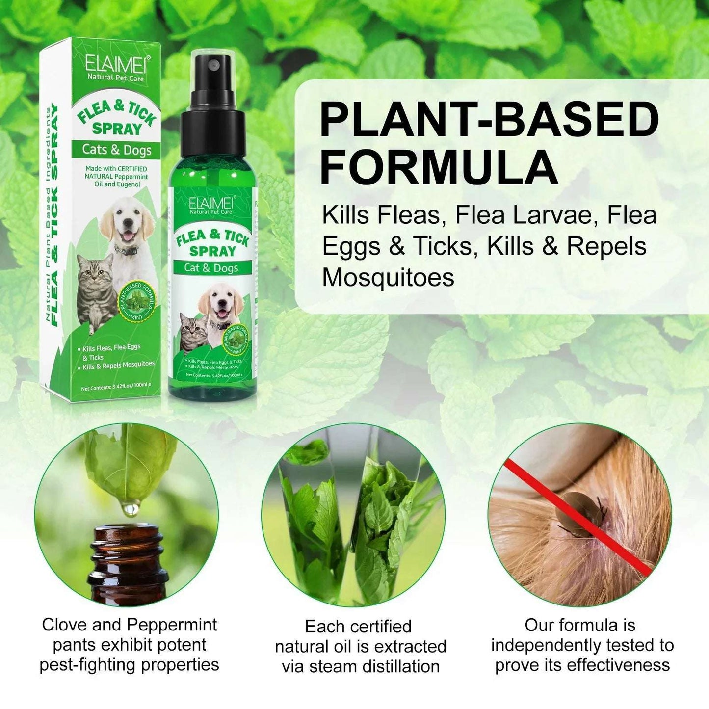 FleaFree™ Natural Flea & Tick Spray — Peppermint & Eugenol Formula