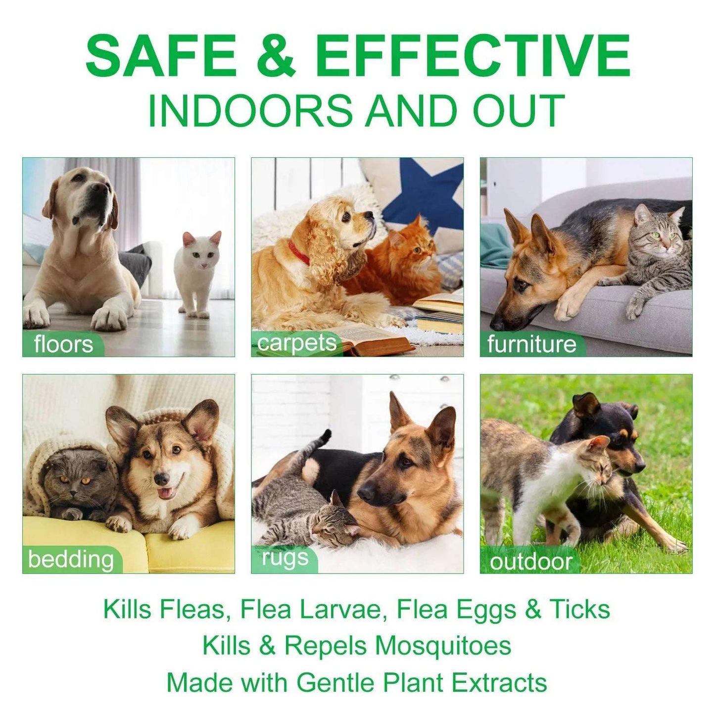 FleaFree™ Natural Flea & Tick Spray — Peppermint & Eugenol Formula