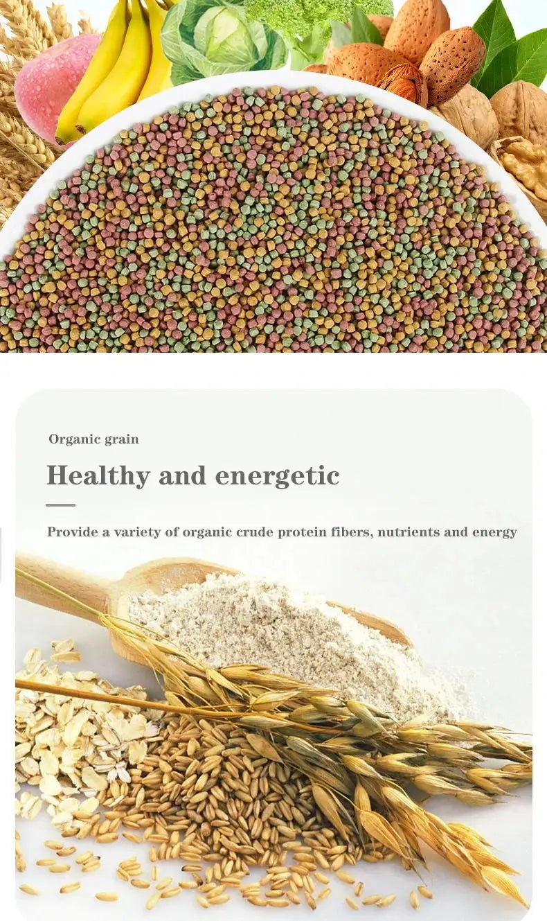 Bird food parrot feed oil sunflower bird feed parrot food bird food bird food feed