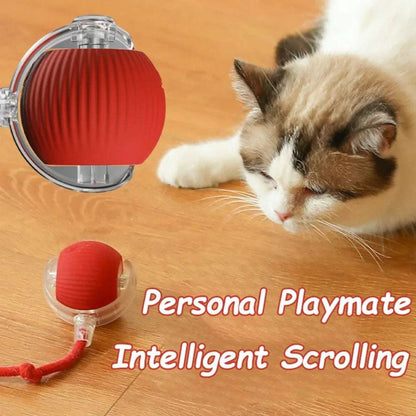 PurrPlay™ Interactive Rolling Ball Toy with Faux Tail — Rechargeable & Smart