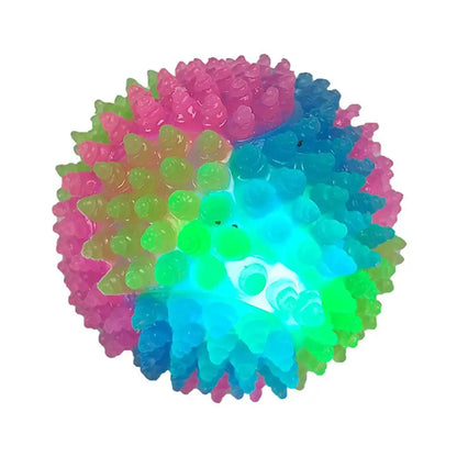 GlowPet™ - Luminous Training Ball for Dogs & Cats