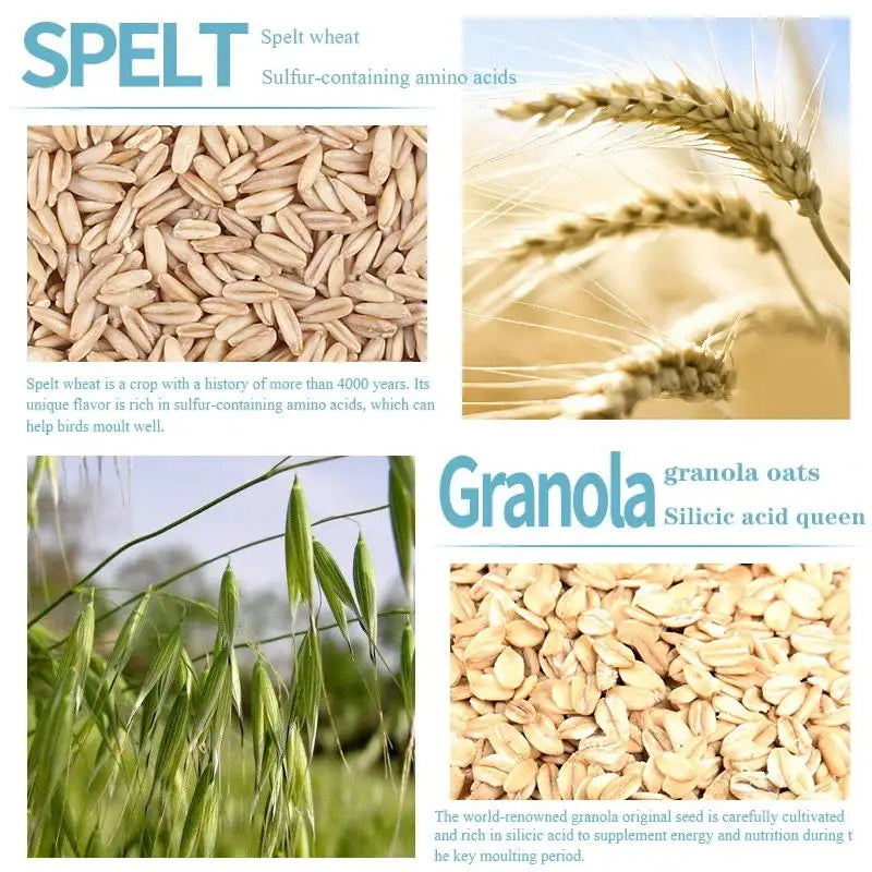 Bird food parrot feed oil sunflower bird feed parrot food bird food bird food feed