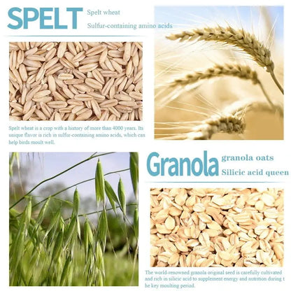 Bird food parrot feed oil sunflower bird feed parrot food bird food bird food feed