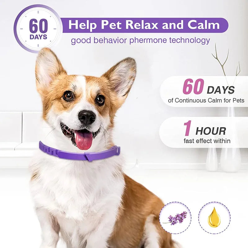Dog Cat Flea and Tick Calming Pheromones Collar 3 Packs Lasts 60 Days Adjustable Comfortable Collar for Small Medium Large Dogs