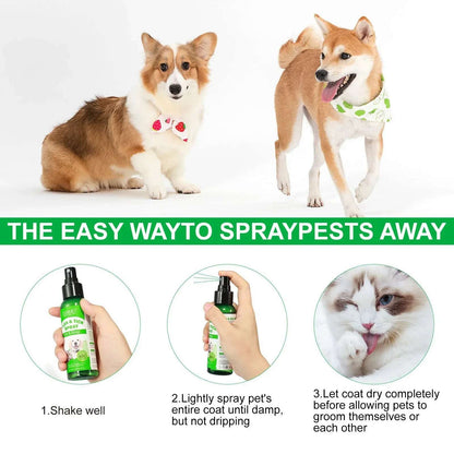 FleaFree™ Natural Flea & Tick Spray — Peppermint & Eugenol Formula