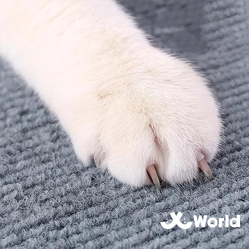 Premium Sofa Protection Pad – Self-Adhesive Anti-Scratch Cat Scratching Guard