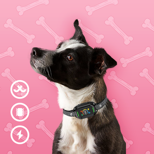 PetGuard™ Smart GPS Dog Fence – Wireless, Safe & Easy Outdoor Control