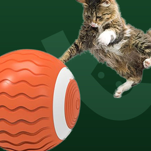 Automatic & Interactive Magic Ball – USB Toy for Cats and Dogs